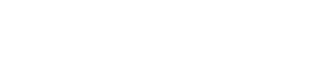rolzone white logo